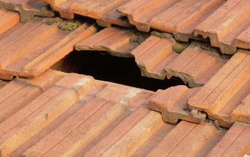 roof repair Harrow Hill, Gloucestershire